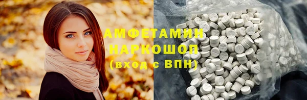 прущие грибы Наволоки