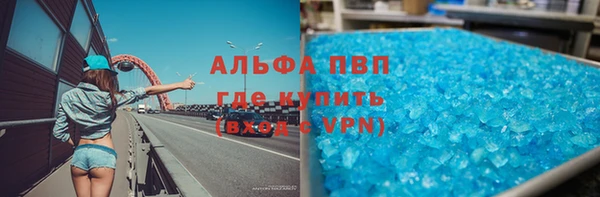 прущие грибы Наволоки