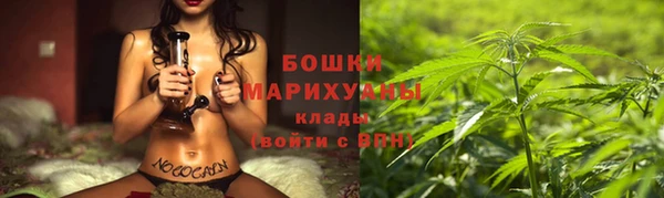 прущие грибы Наволоки