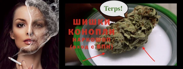 прущие грибы Наволоки