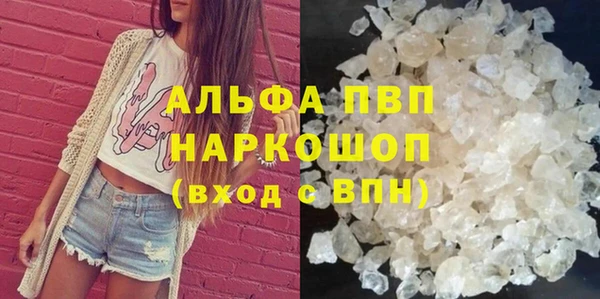 прущие грибы Наволоки