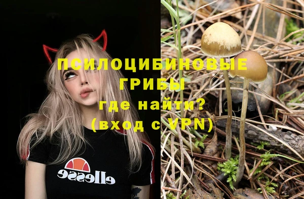 МДПВ Навашино