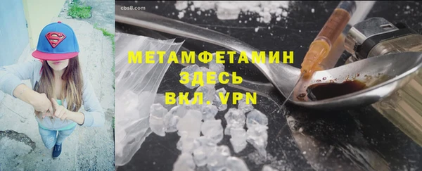 прущие грибы Наволоки