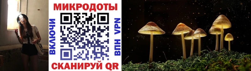 OMG маркетплейс  Никольское  Галлюциногенные грибы Psilocybe 